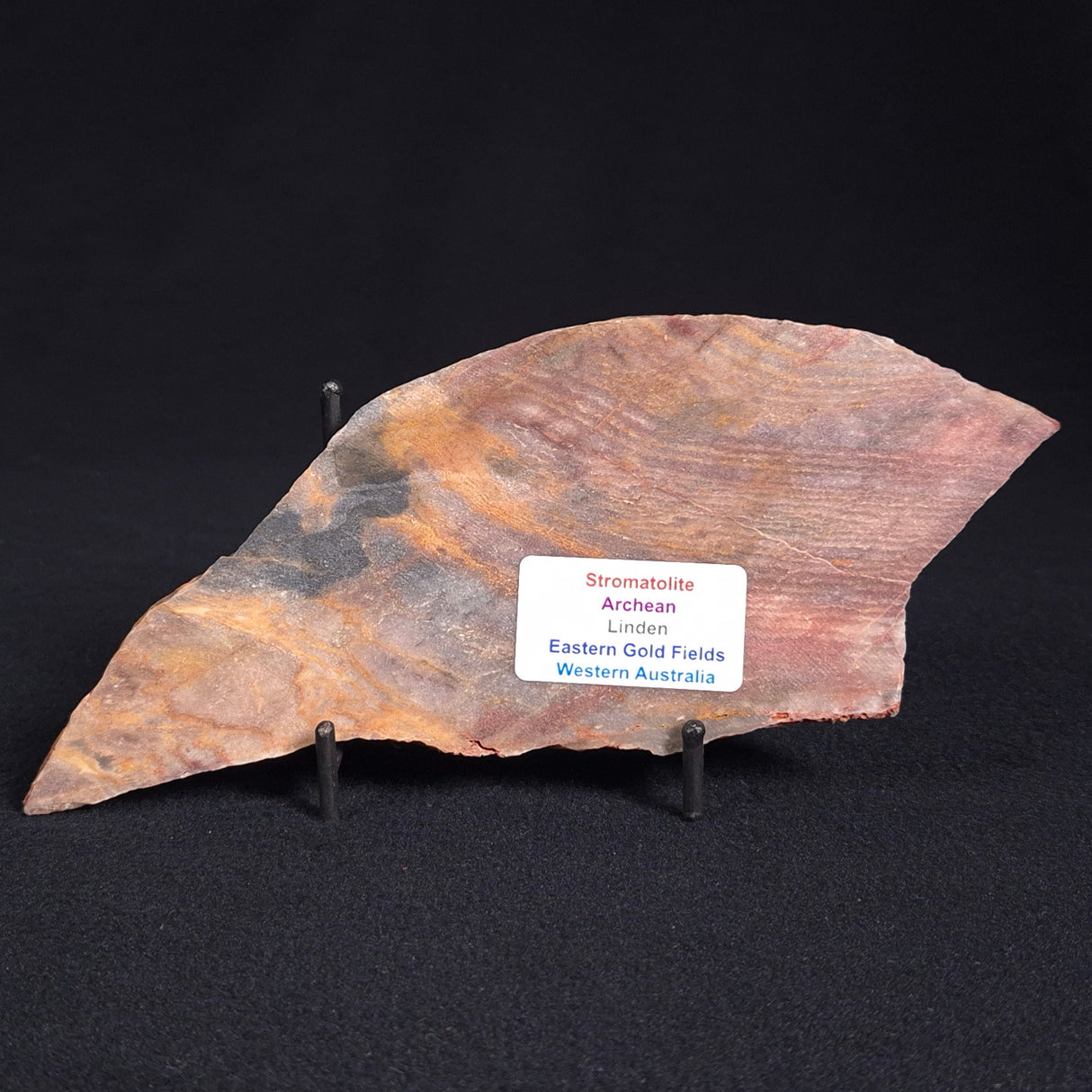 STROMATOLITE, Archean, Australia ZSL005