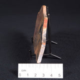 STROMATOLITE, Archean, Australia ZSL003