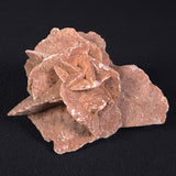 DESERT ROSE GYPSUM, Morocco XDR001