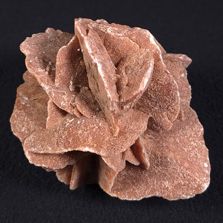 DESERT ROSE GYPSUM, Morocco XDR001