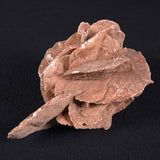 DESERT ROSE GYPSUM, Morocco XDR001