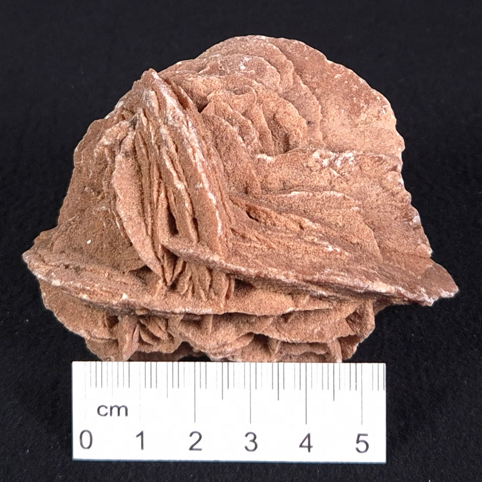 Desert Rose Gypsum Rough XDR002