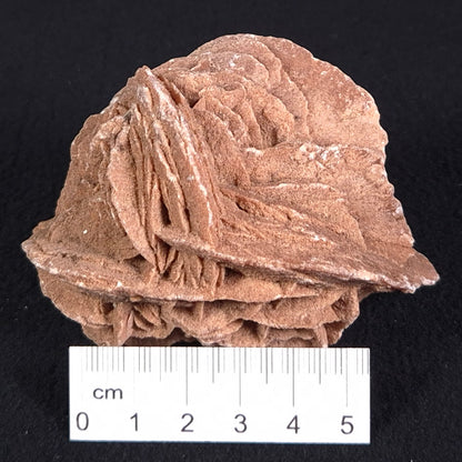 Desert Rose Gypsum Rough XDR002