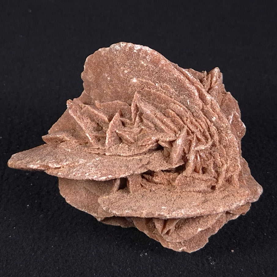 DESERT ROSE GYPSUM, Morocco XDR002