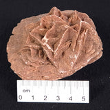 DESERT ROSE GYPSUM, Morocco XDR004