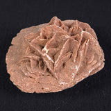 DESERT ROSE GYPSUM, Morocco XDR004