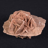 DESERT ROSE GYPSUM, Morocco XDR004