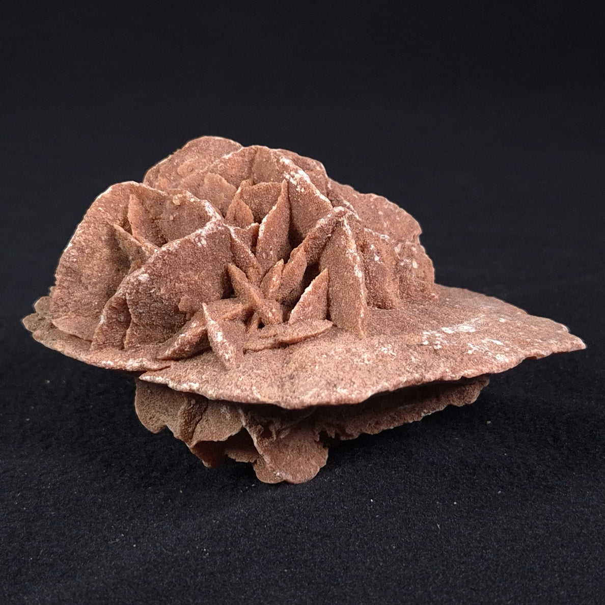 DESERT ROSE GYPSUM, Morocco XDR004