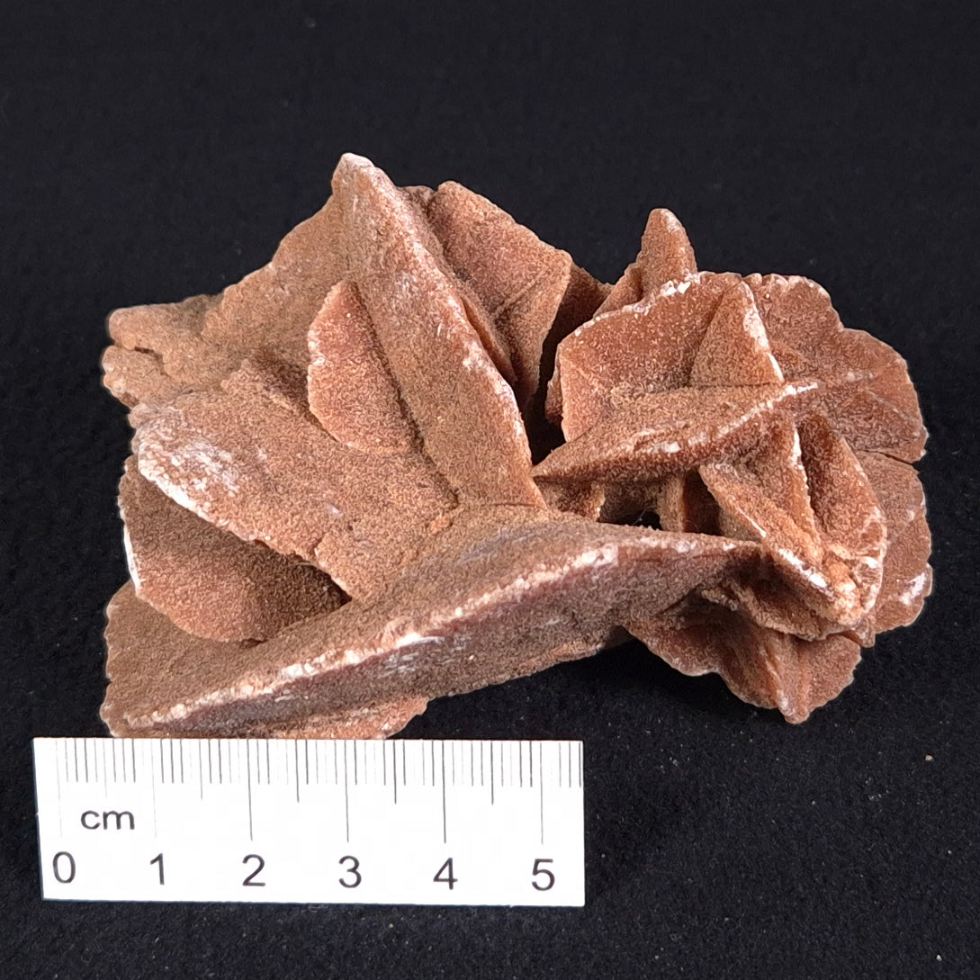 Desert Rose Gypsum Rough XDR005