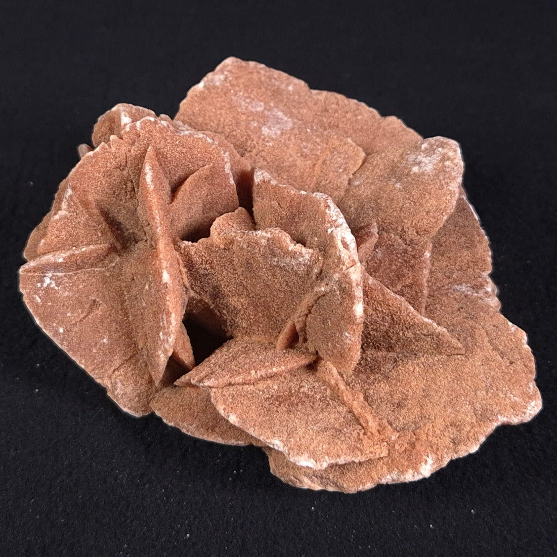 DESERT ROSE GYPSUM, Morocco XDR005