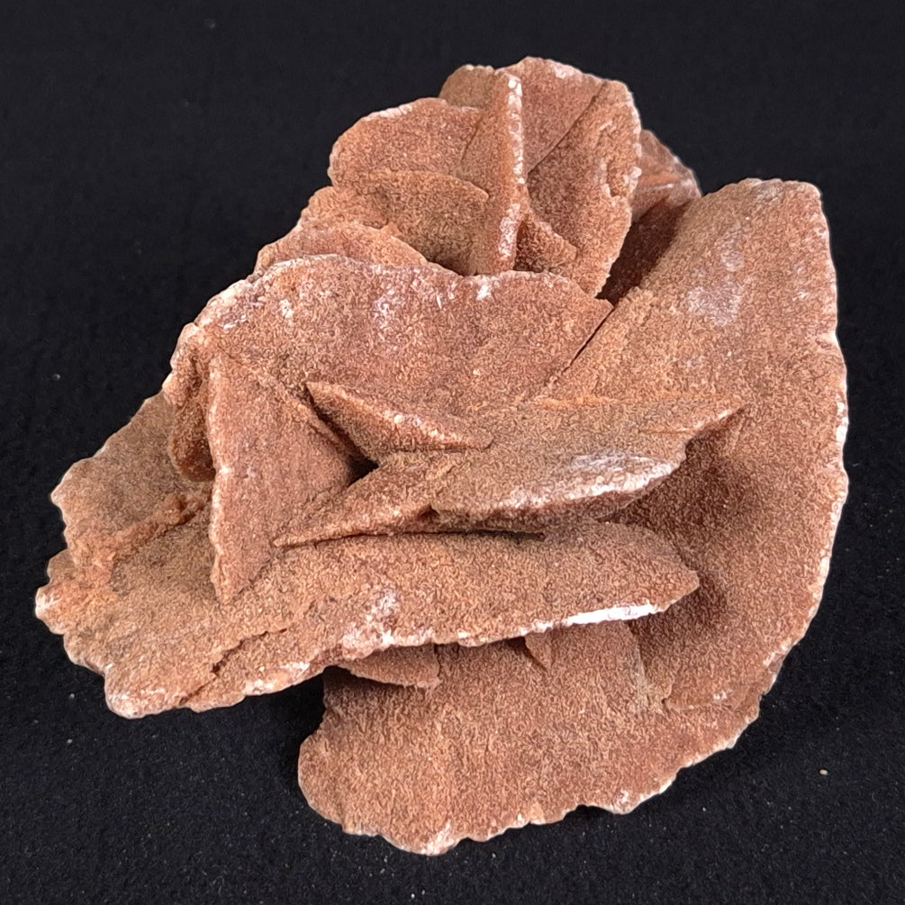 DESERT ROSE GYPSUM, Morocco XDR005