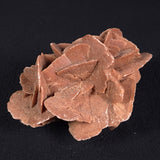 DESERT ROSE GYPSUM, Morocco XDR006