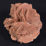 DESERT ROSE GYPSUM, Morocco XDR006