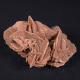 DESERT ROSE GYPSUM, Morocco XDR006