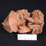 DESERT ROSE GYPSUM, Morocco XDR007