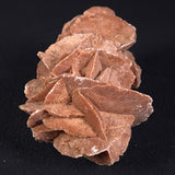 DESERT ROSE GYPSUM, Morocco XDR007