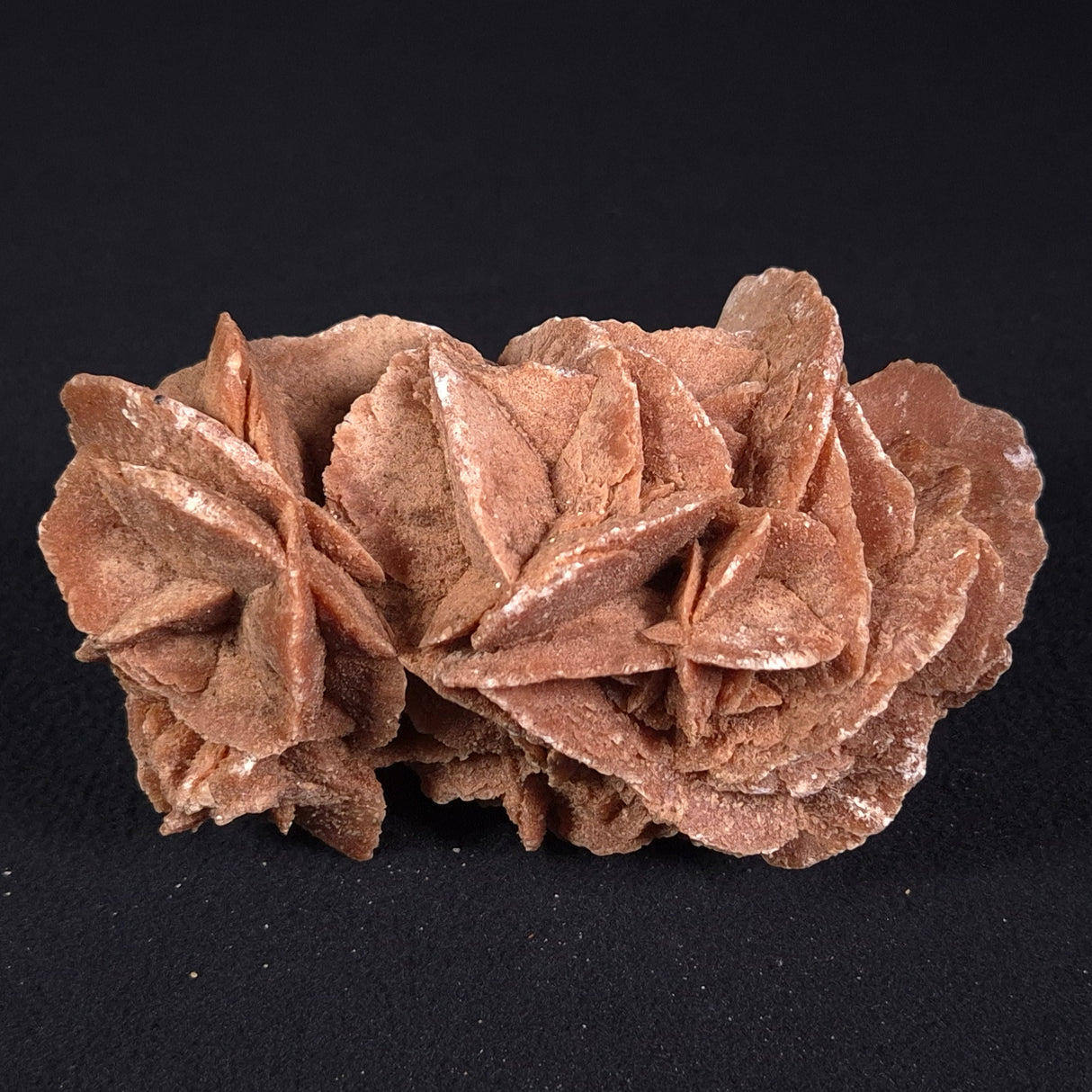 DESERT ROSE GYPSUM, Morocco XDR007