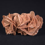 DESERT ROSE GYPSUM, Morocco XDR007