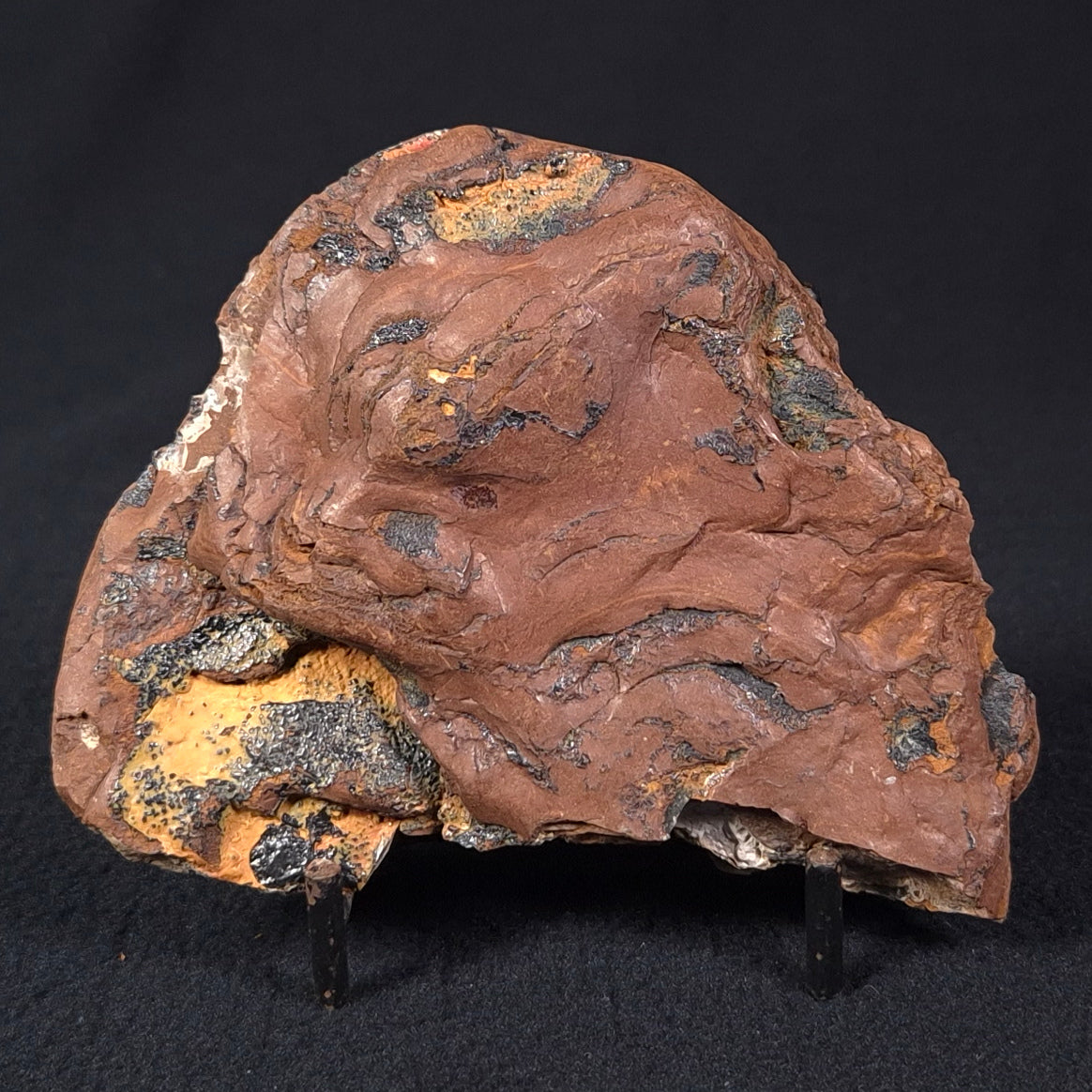 STROMATOLITE, Parda Formation, Early Cretaceous (Aptian), Australia ZPF001