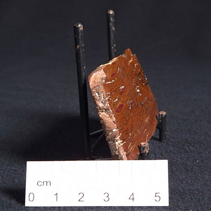 Stromatolite from the Parda Formation, Australia ZPF004