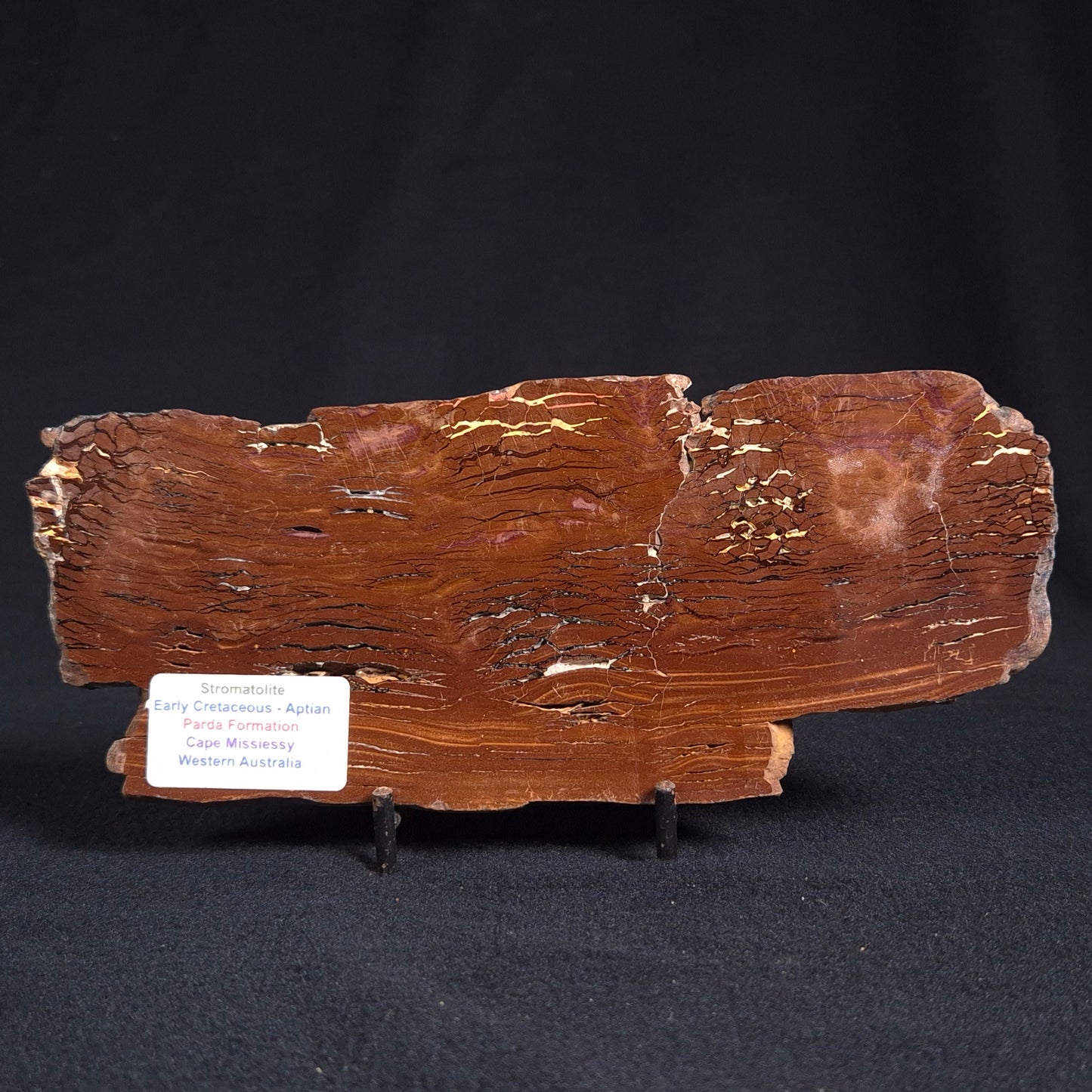 Stromatolite from the Parda Formation, Australia ZPF007