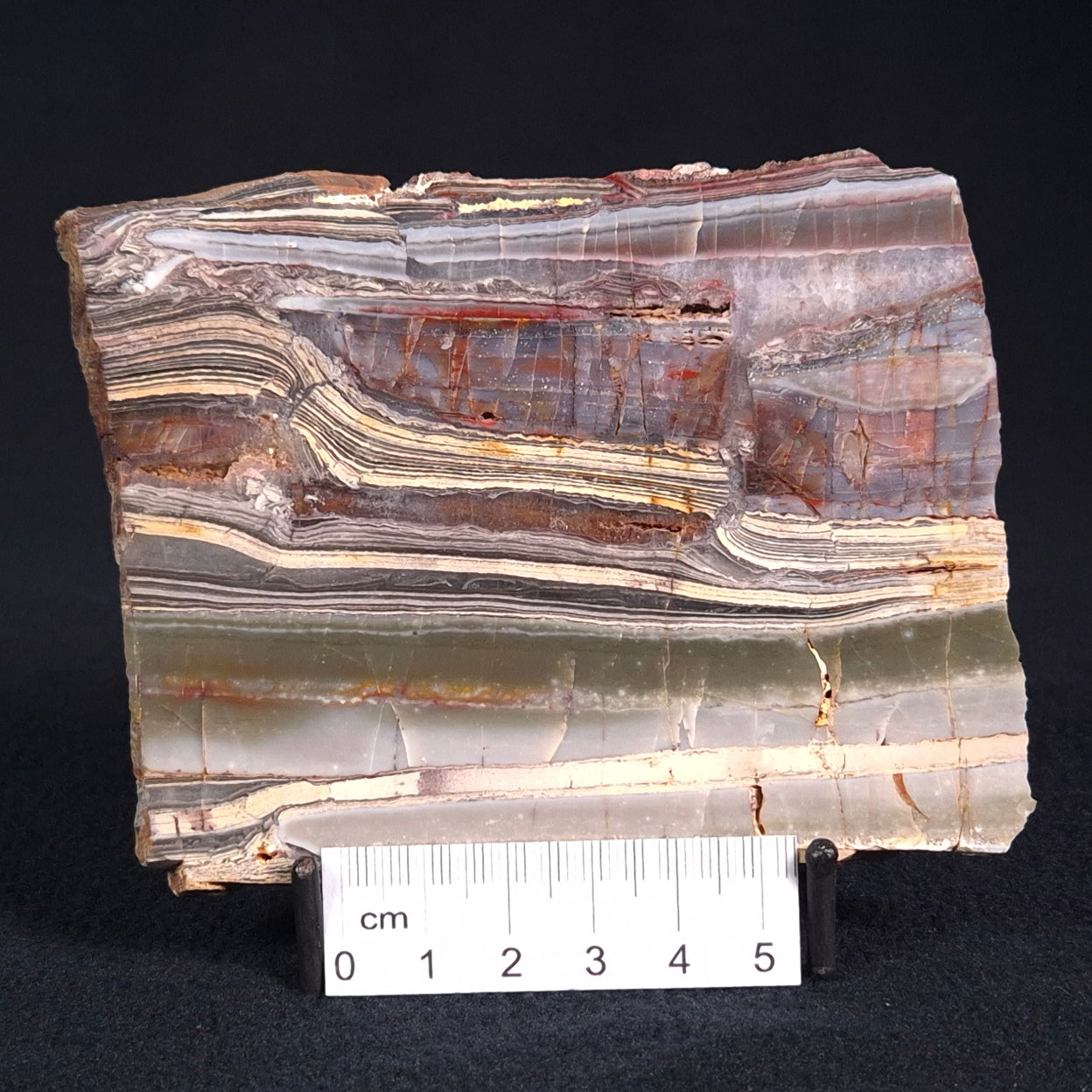 STROMATOLITE, Jerrinah Formation, Proterozoic, Australia ZJF018