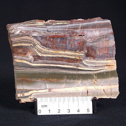 STROMATOLITE, Jerrinah Formation, Proterozoic, Australia ZJF018