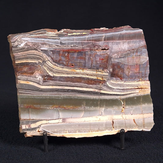 STROMATOLITE, Jerrinah Formation, Proterozoic, Australia ZJF018