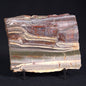 STROMATOLITE, Jerrinah Formation, Proterozoic, Australia ZJF018