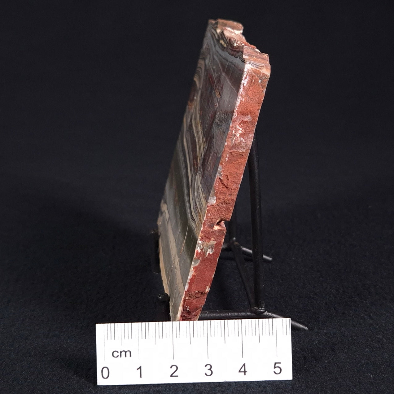 STROMATOLITE, Jerrinah Formation, Proterozoic, Australia ZJF018