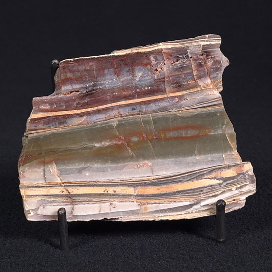 STROMATOLITE, Jerrinah Formation, Proterozoic, Australia ZJF019