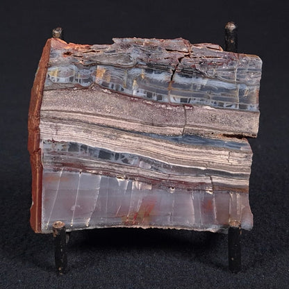STROMATOLITE, Jerrinah Formation, Proterozoic, Australia ZJF020