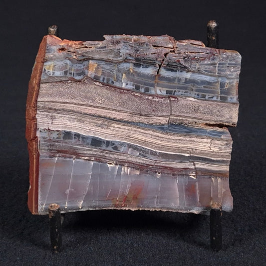 STROMATOLITE, Jerrinah Formation, Proterozoic, Australia ZJF020