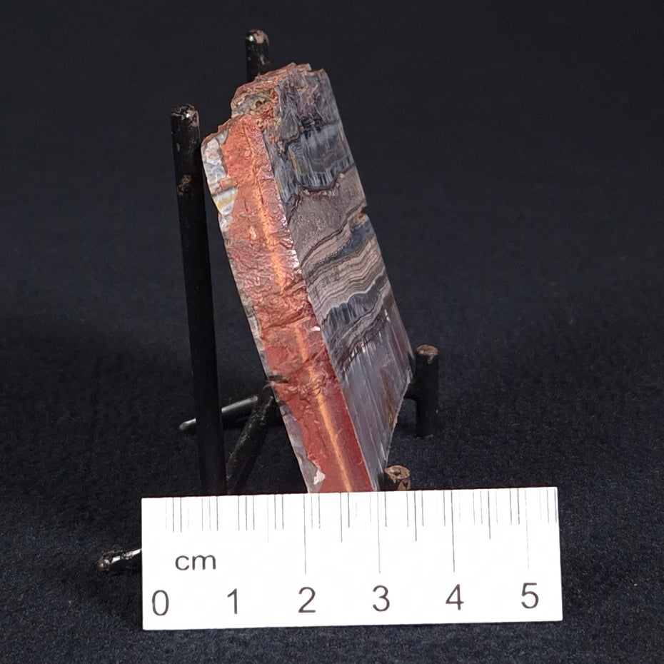 STROMATOLITE, Jerrinah Formation, Proterozoic, Australia ZJF020