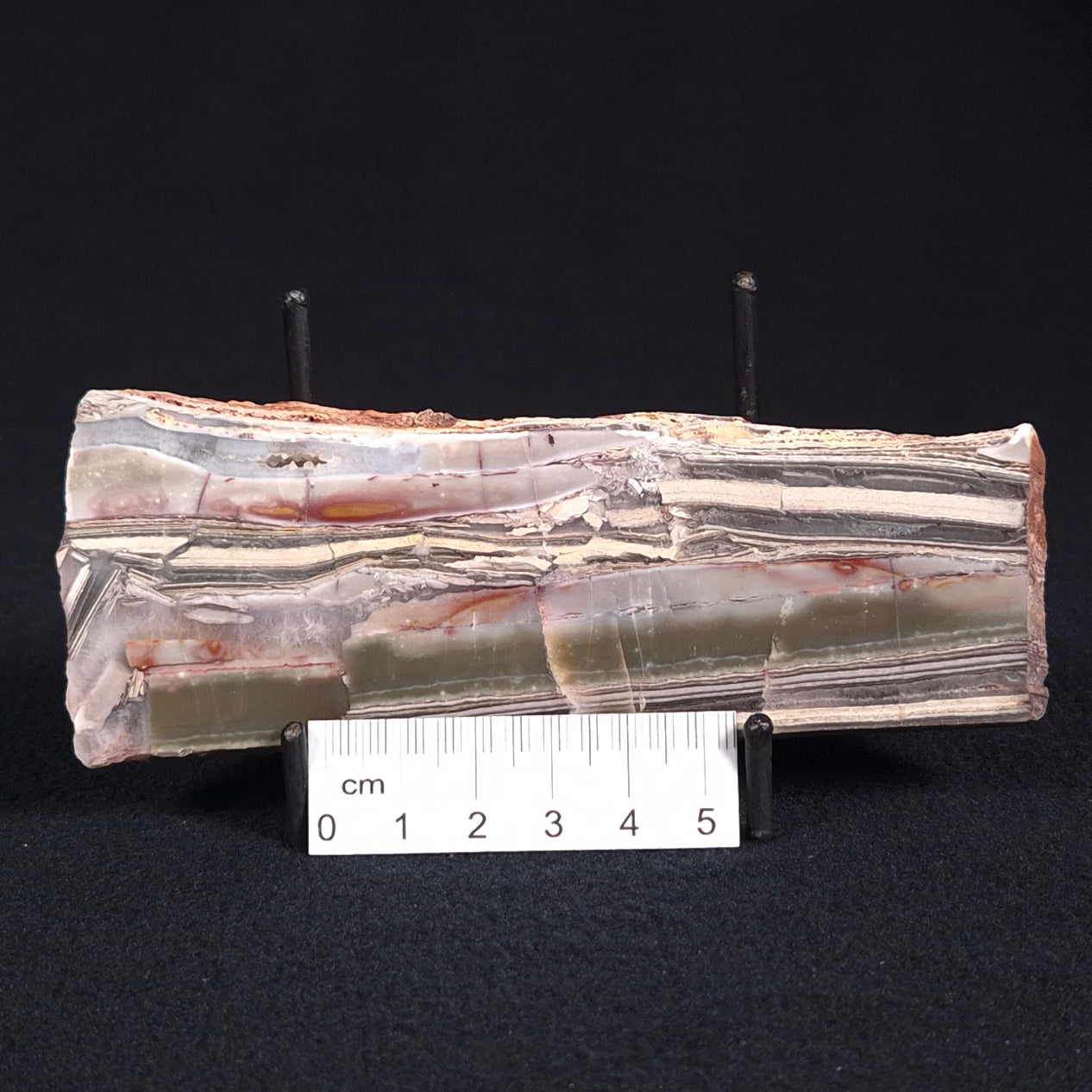STROMATOLITE, Jerrinah Formation, Proterozoic, Australia ZJF021