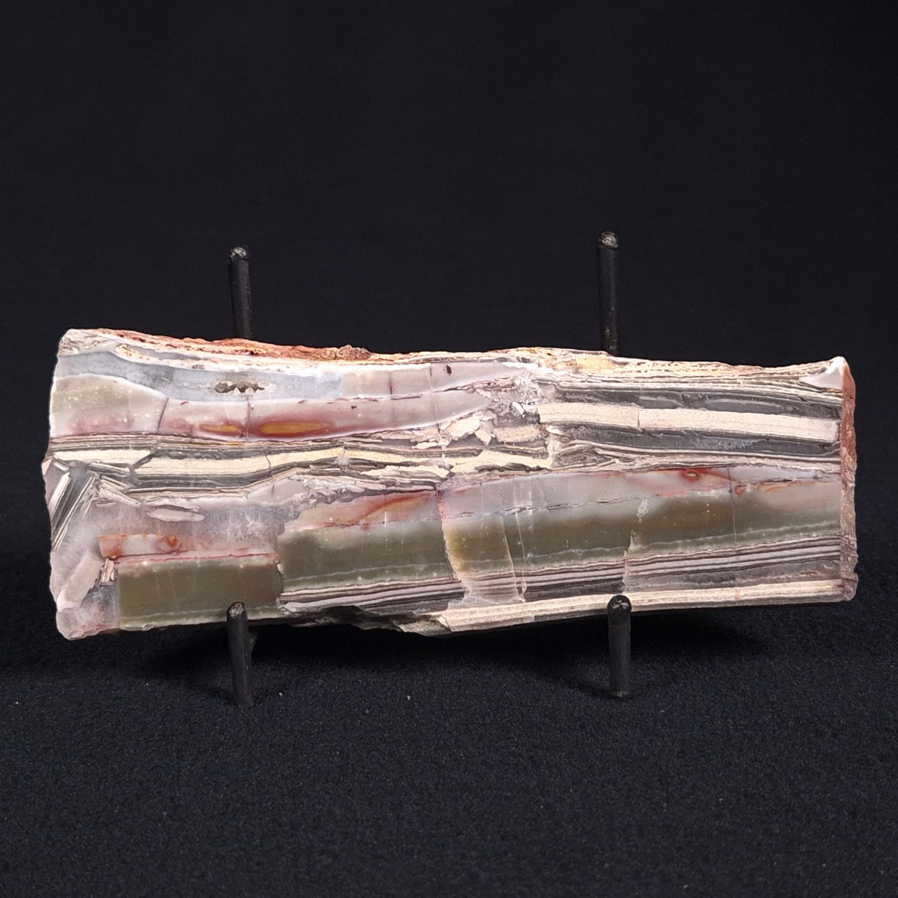 STROMATOLITE, Jerrinah Formation, Proterozoic, Australia ZJF021