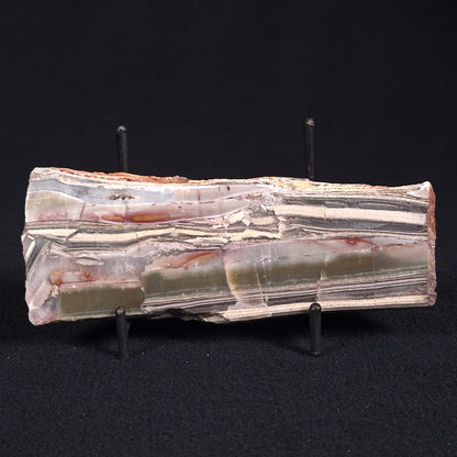 STROMATOLITE, Jerrinah Formation, Proterozoic, Australia ZJF021