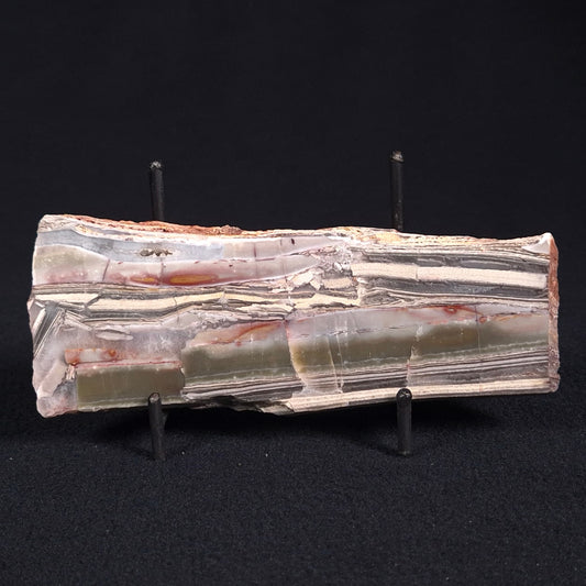 STROMATOLITE, Jerrinah Formation, Proterozoic, Australia ZJF021