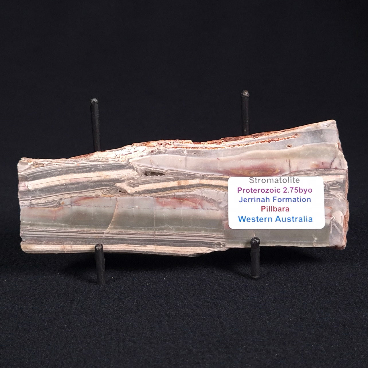 STROMATOLITE, Jerrinah Formation, Proterozoic, Australia ZJF021