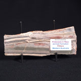 STROMATOLITE, Jerrinah Formation, Proterozoic, Australia ZJF021
