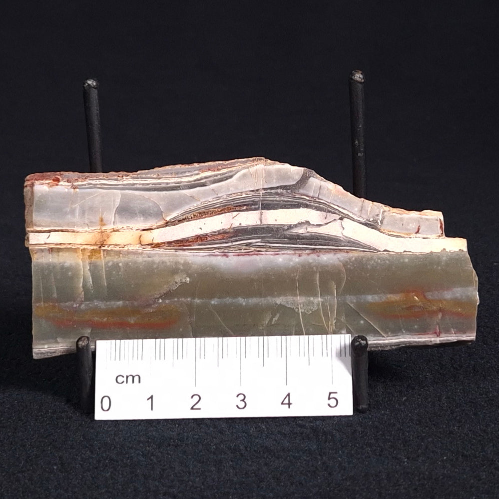 STROMATOLITE, Jerrinah Formation, Proterozoic, Australia ZJF022