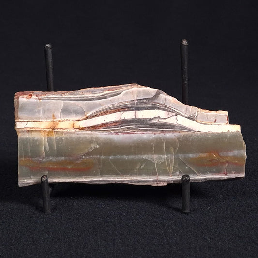 STROMATOLITE, Jerrinah Formation, Proterozoic, Australia ZJF022