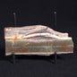 STROMATOLITE, Jerrinah Formation, Proterozoic, Australia ZJF022