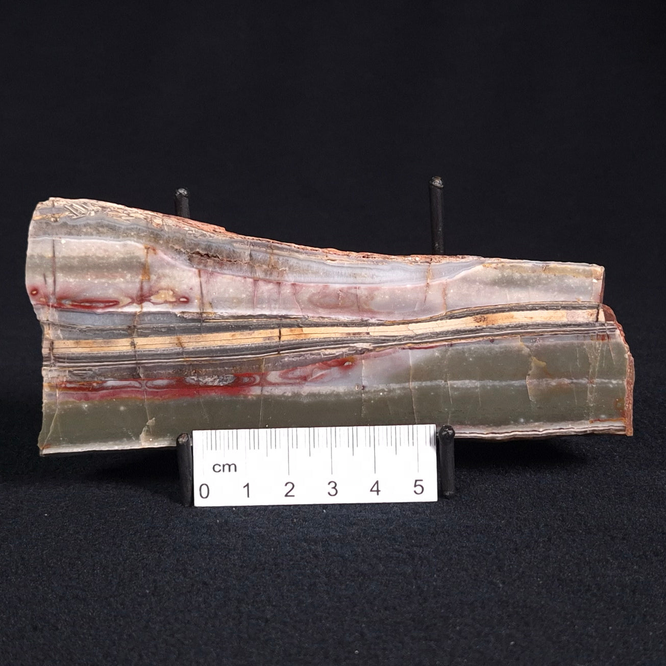 STROMATOLITE, Jerrinah Formation, Proterozoic, Australia ZJF023