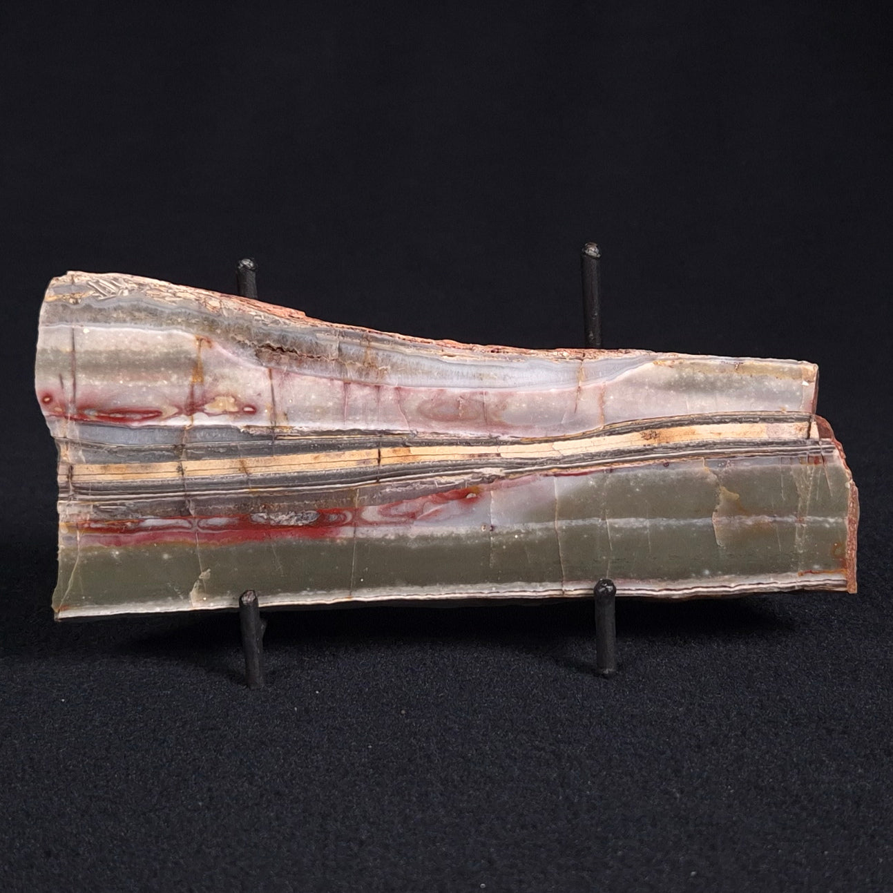 STROMATOLITE, Jerrinah Formation, Proterozoic, Australia ZJF023