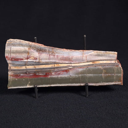 STROMATOLITE, Jerrinah Formation, Proterozoic, Australia ZJF023