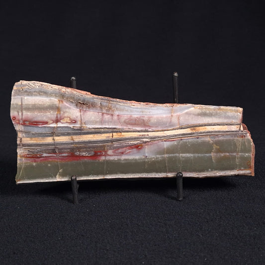 STROMATOLITE, Jerrinah Formation, Proterozoic, Australia ZJF023