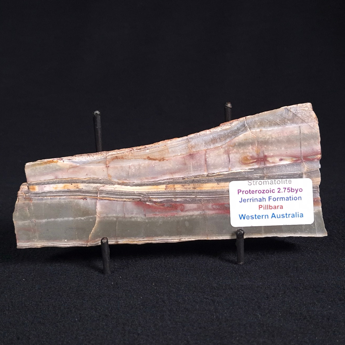 STROMATOLITE, Jerrinah Formation, Proterozoic, Australia ZJF023