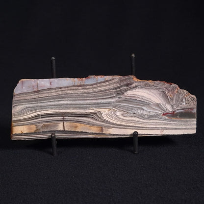 STROMATOLITE, Jerrinah Formation, Proterozoic, Australia ZJF024