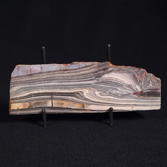 STROMATOLITE, Jerrinah Formation, Proterozoic, Australia ZJF024